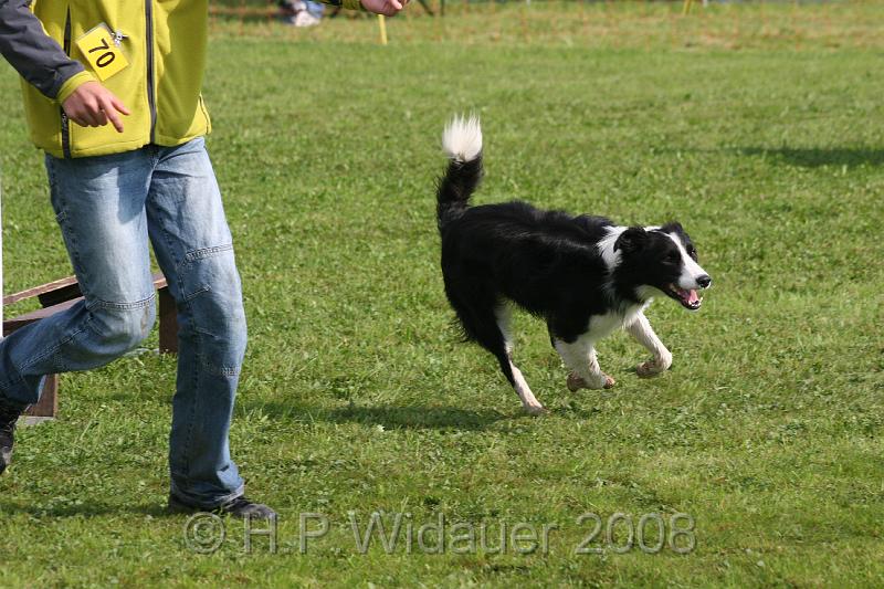 jubil.lusten. 066.jpg